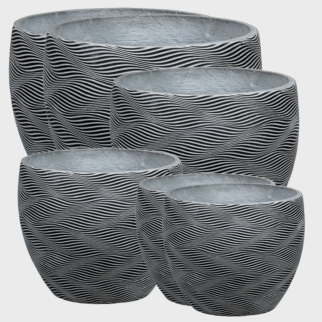 Palettenset 6er Zitronenbaum Mix XL in Dayton