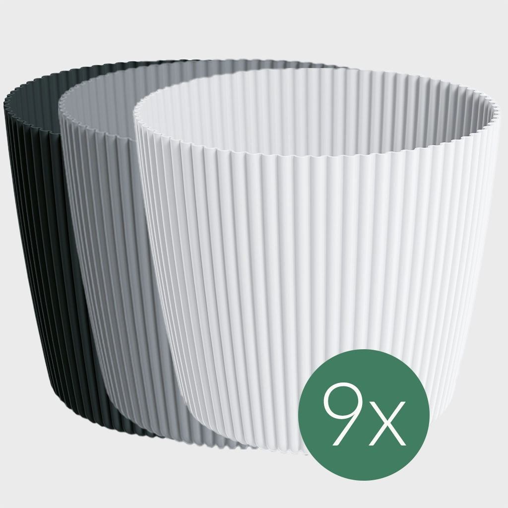 Palettenset Palmen: 9XXL Büropflanzen in modernen Übertöpfen