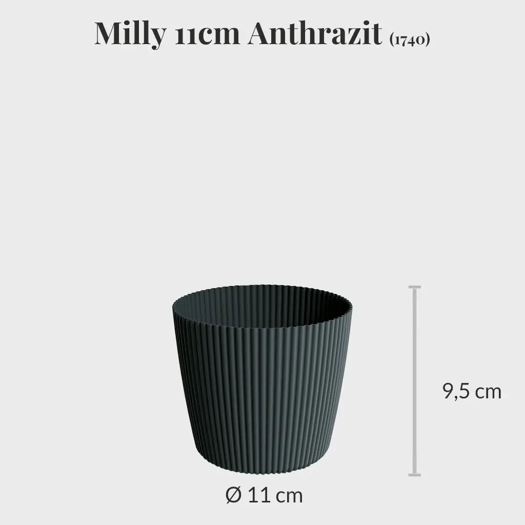 Milly 11cm