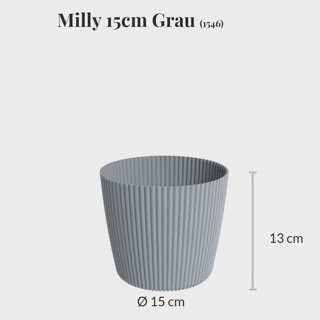 Milly 15cm