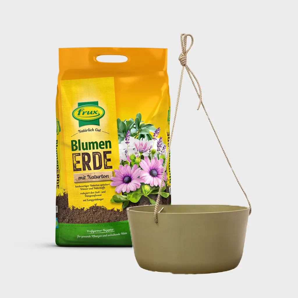 Hängeampel Palermo 27cm mit Erde