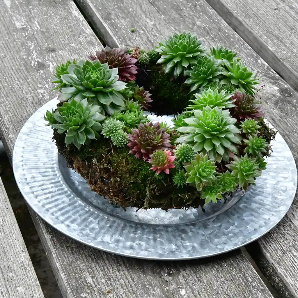 Teller Silber für Kränze Ole 26cm