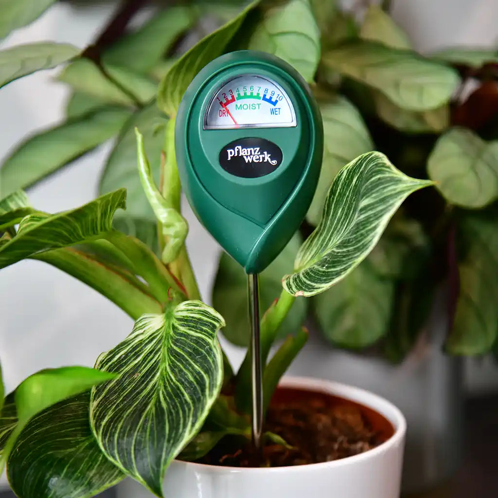 Boden-Feuchtigkeitsmesser für Pflanzen