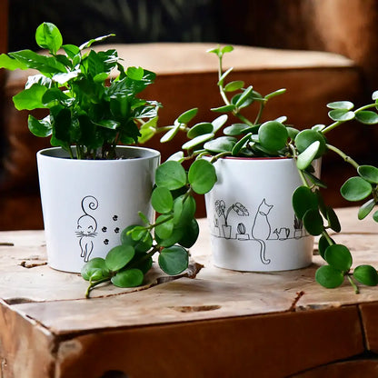 zwei Übertöpfe für Pflanzen aus Kermik weiß mit schwarzen Katzenmotiven für Katzenliebhaber