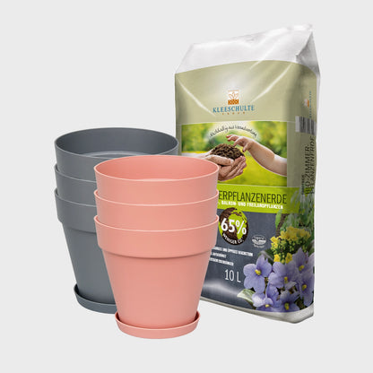 3er Set Elho Loft Pflanzkübel mit Untersetzer 20cm mit Erde