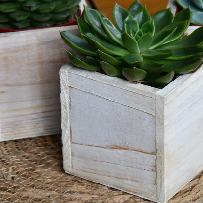 3er Set Holzkistchen 10cm