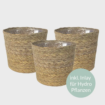 3er Übertopfset Hydro Seegraskorb Natur 17cm mit Hydroeinsatz