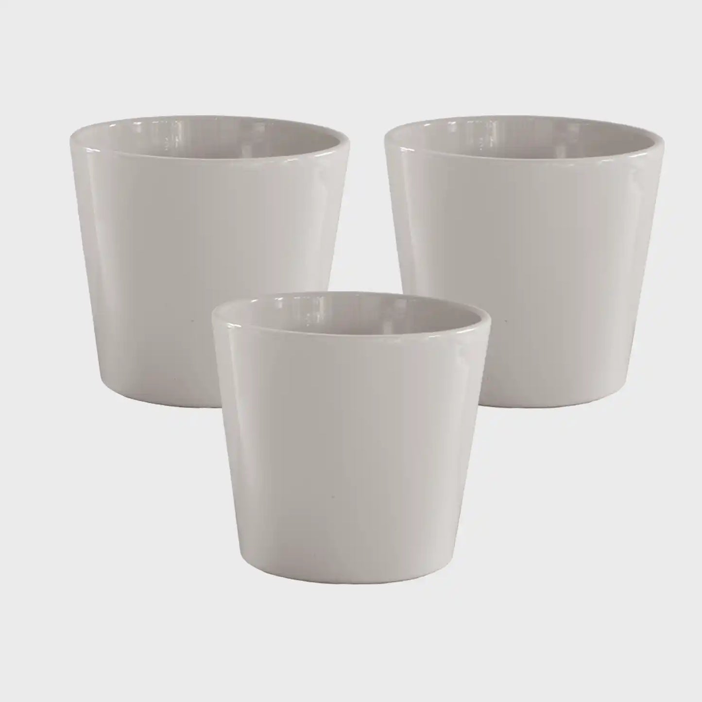 Hydro Büropflanzen 3er Set Bambus in Keramiktöpfen