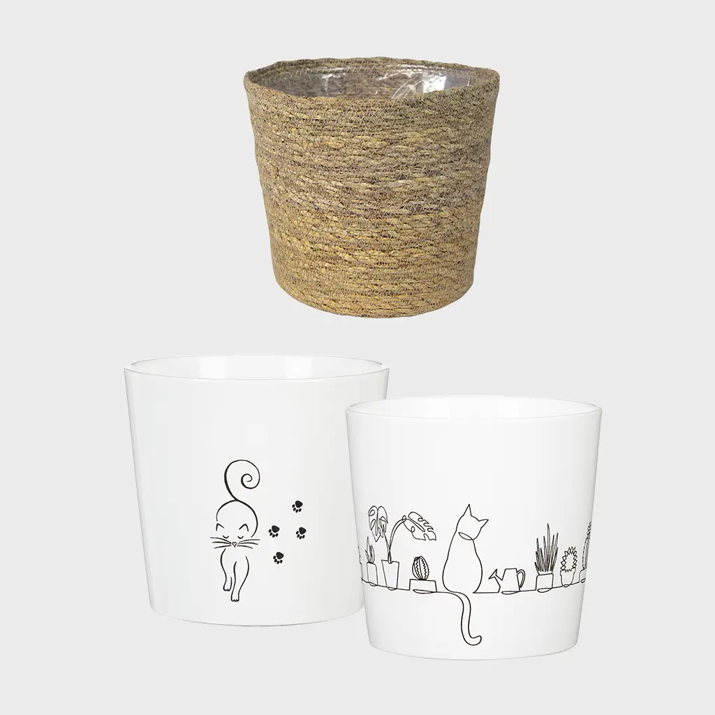 3er Übertopfset 3S Catwalk & Catview