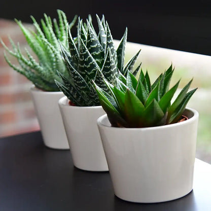 3er Set Keramiktopf Mini Lina 10cm Creme Weiß