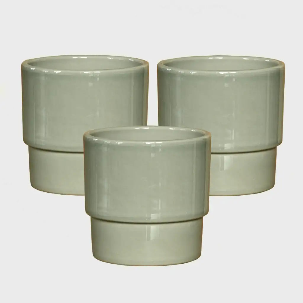 pastellgrüne Keramiktöpfe für Babypflanzen