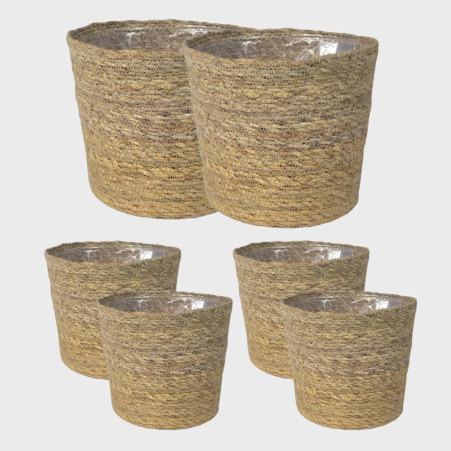 6er Übertopfset 2L 4S Seegras