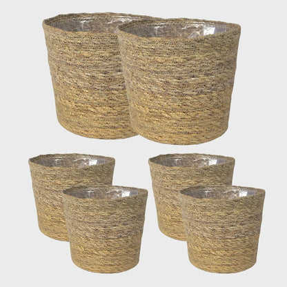 6er Übertopfset 2L 4S Seegras