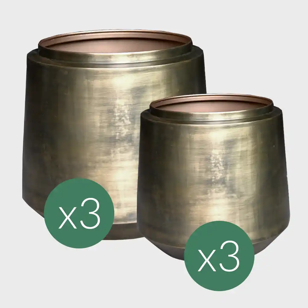 6er Übertopfset Metalltopf Indigo Vintage Gold