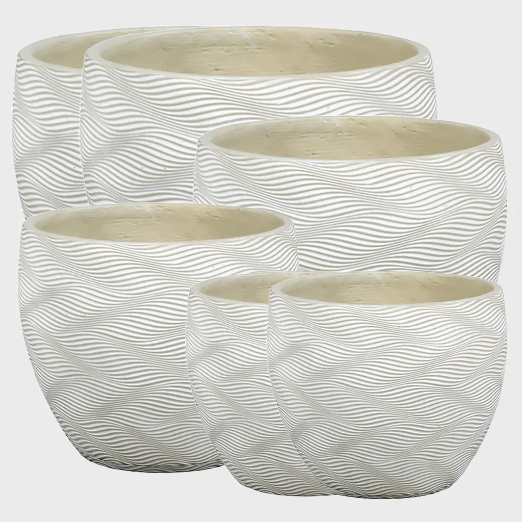 Palettenset 6er Zitronenbaum Mix XL in Dayton