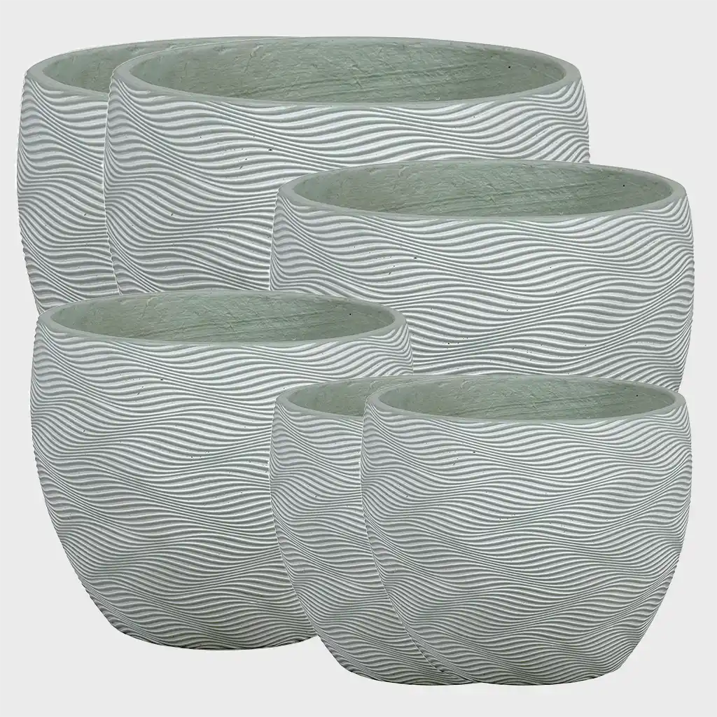 Palettenset 6er Zitronenbaum Mix XL in Dayton