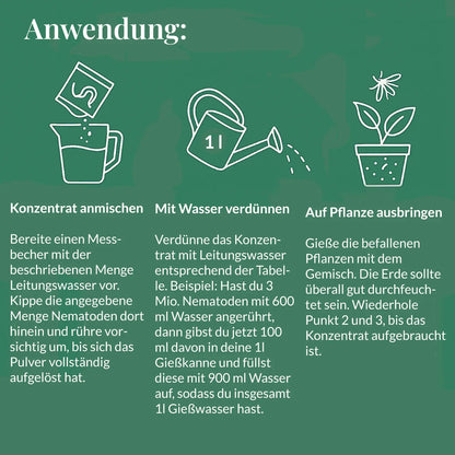 SF Nematoden gegen Trauermücken