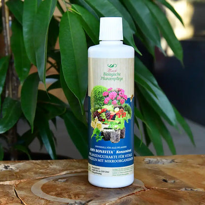 Anti-Schimmel-Spray 50ml Probe