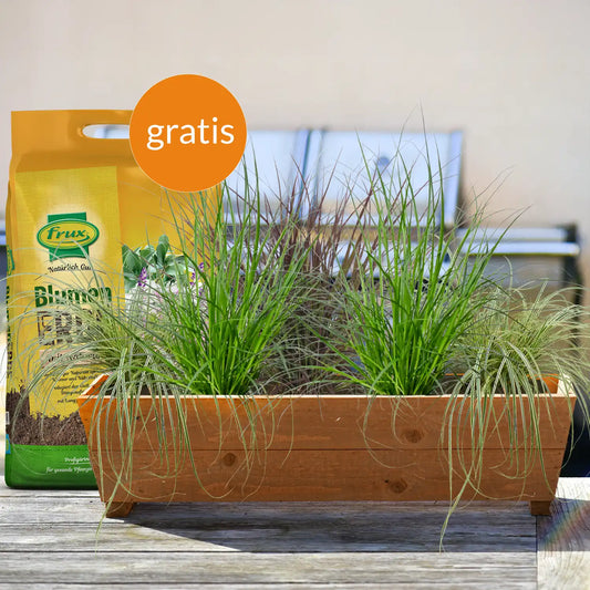 Balkonkasten Set Sommer Gräser