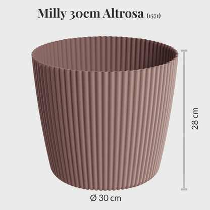 Milly 30cm