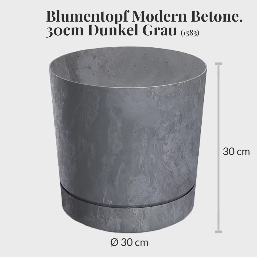 Kiribaum mit Pflanzset