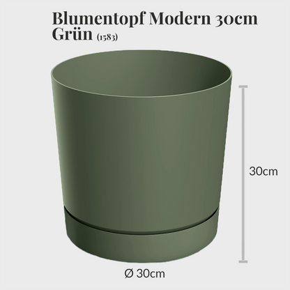 Kiribaum mit Pflanzset