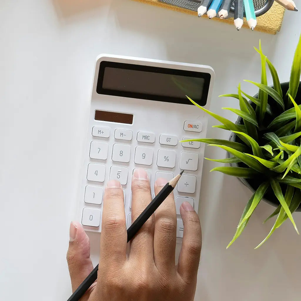 Taschenrechner mit Pflanze auf Schreibtisch
