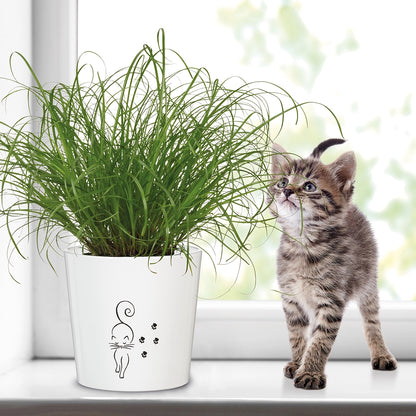 Catwalk Keramiktopf Weiß 13cm