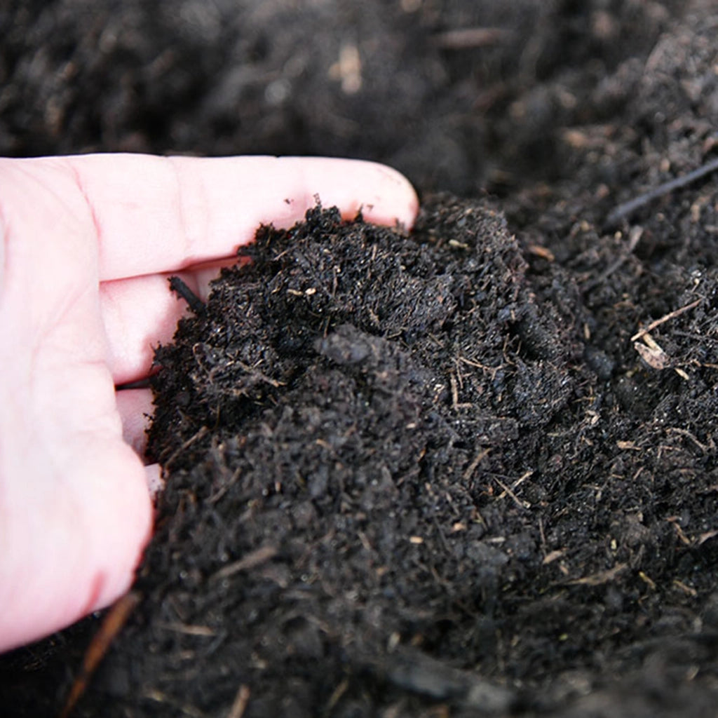 Blumenerde mit Naturton 10L torfreduziert