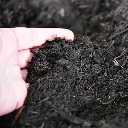 Blumenerde mit Naturton 10L torfreduziert