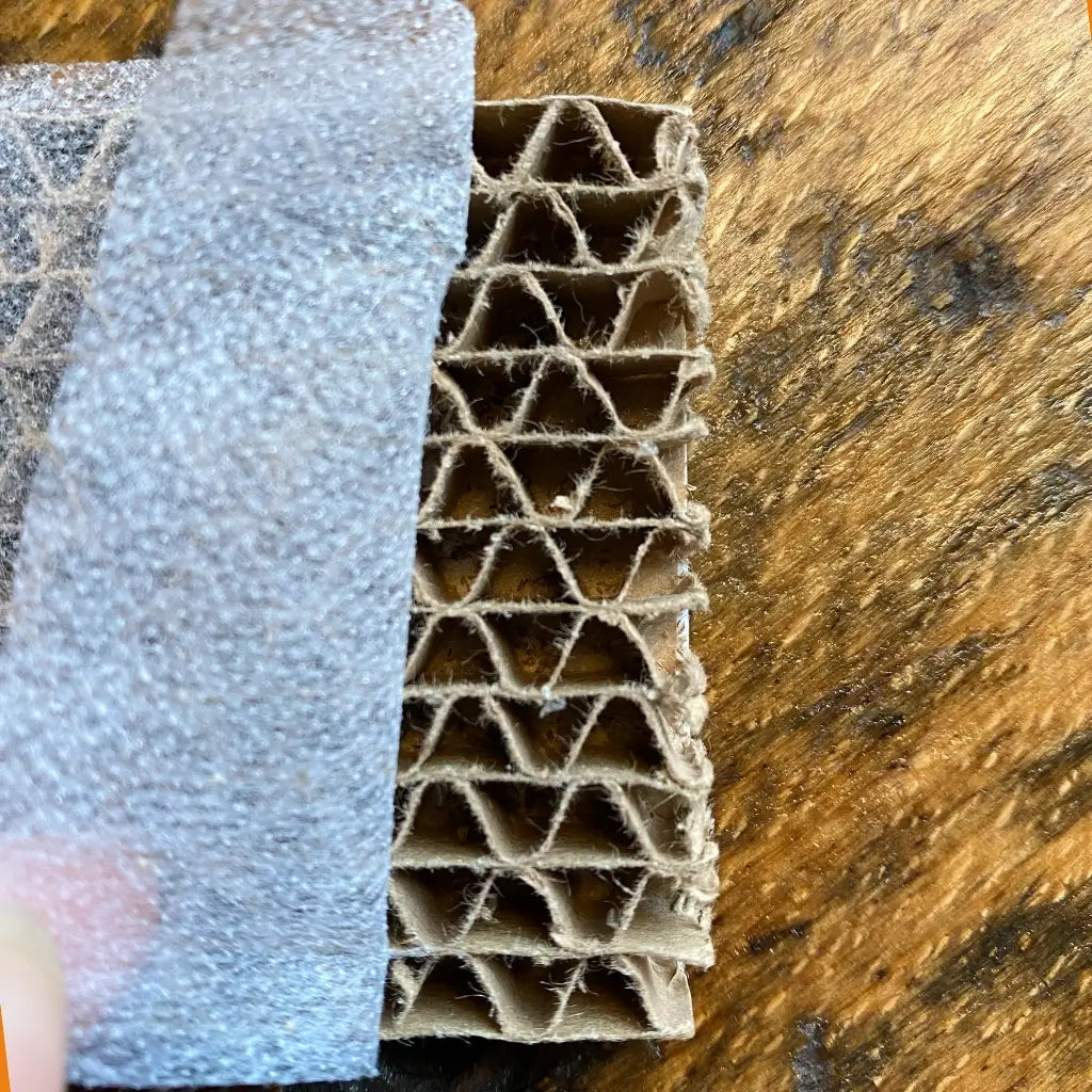 Florfliegenlarven gegen Wollläuse und Spinnmilben