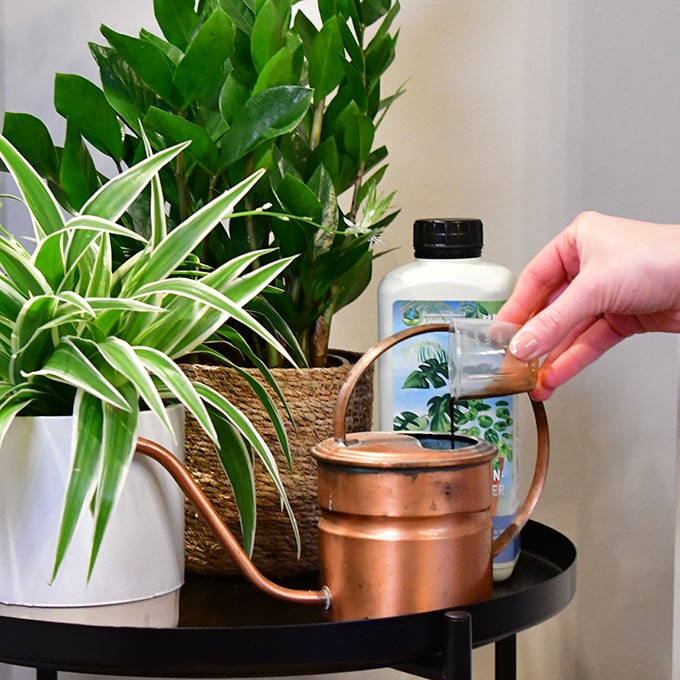 Flüssigdünger für Zimmerpflanzen