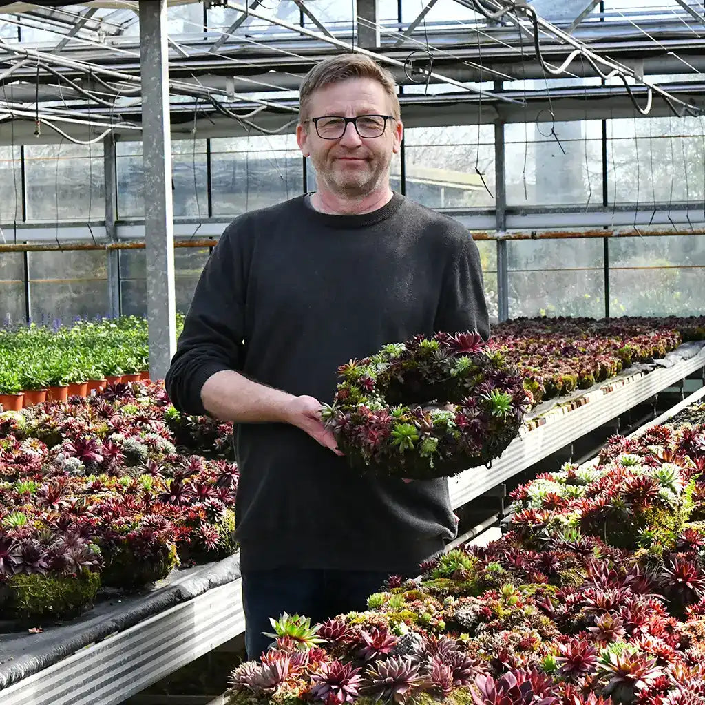 Gärtner Stephan Gärtnerei Baumeister mit lebenden Kränzen aus Tormoos und Sukkulenten
