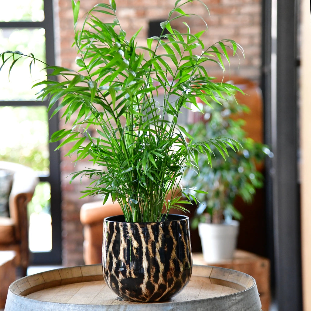 Animalprint Metalltopf 20cm