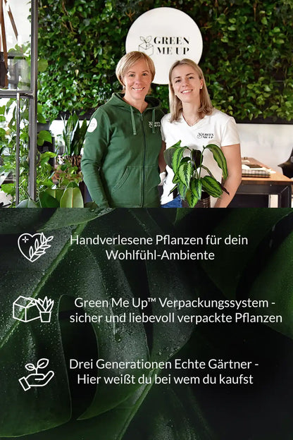 Green Me Up neue USPs 