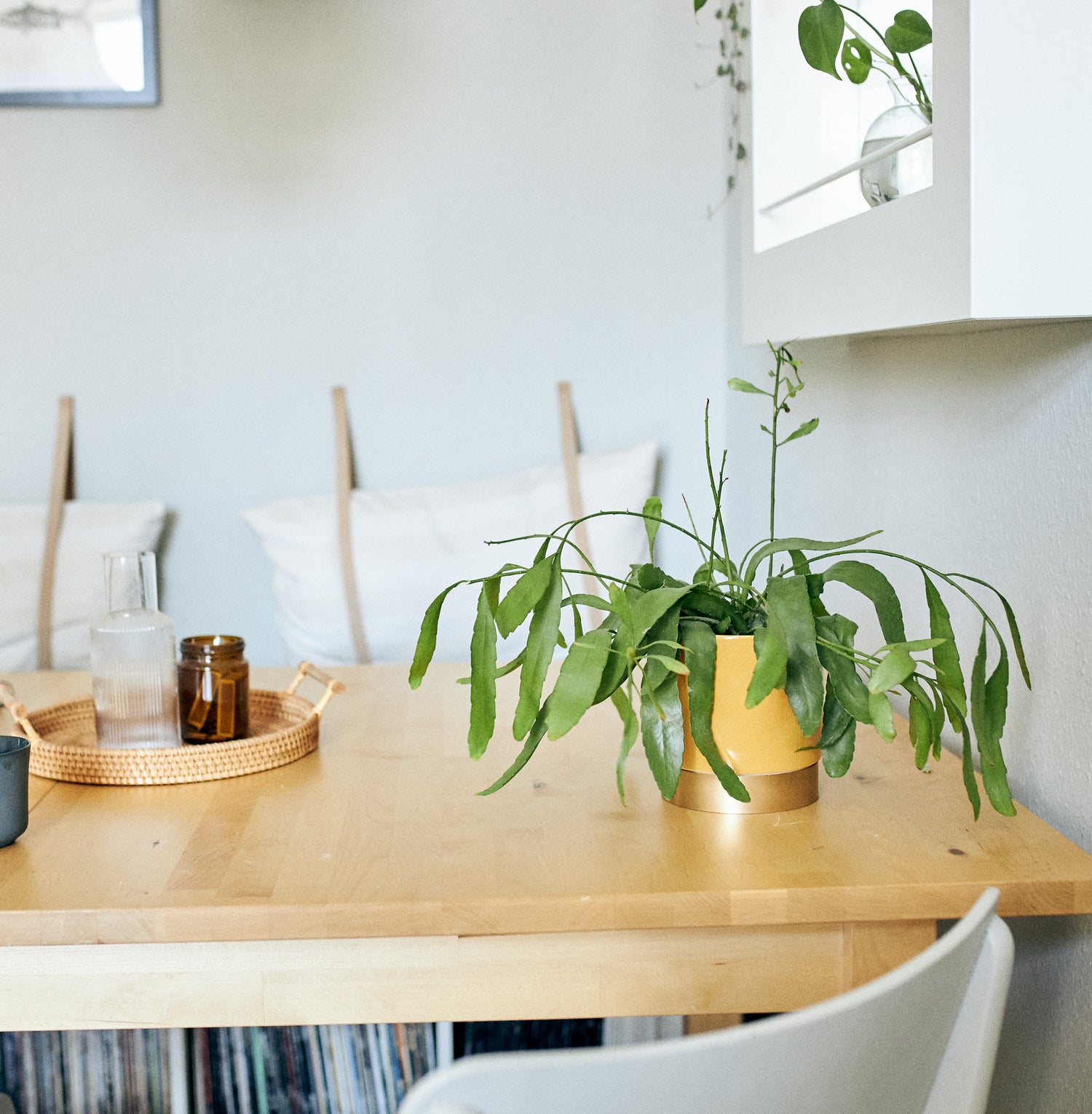 Dekorativer Übertopf auf Esstisch bzw. im Wohnzimmer