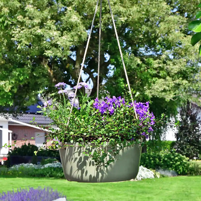 Mix & Match Winterharte und Ungiftige Balkonpflanzen