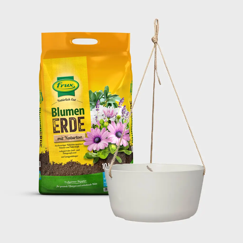 Hängeampel Palermo 27cm mit Erde