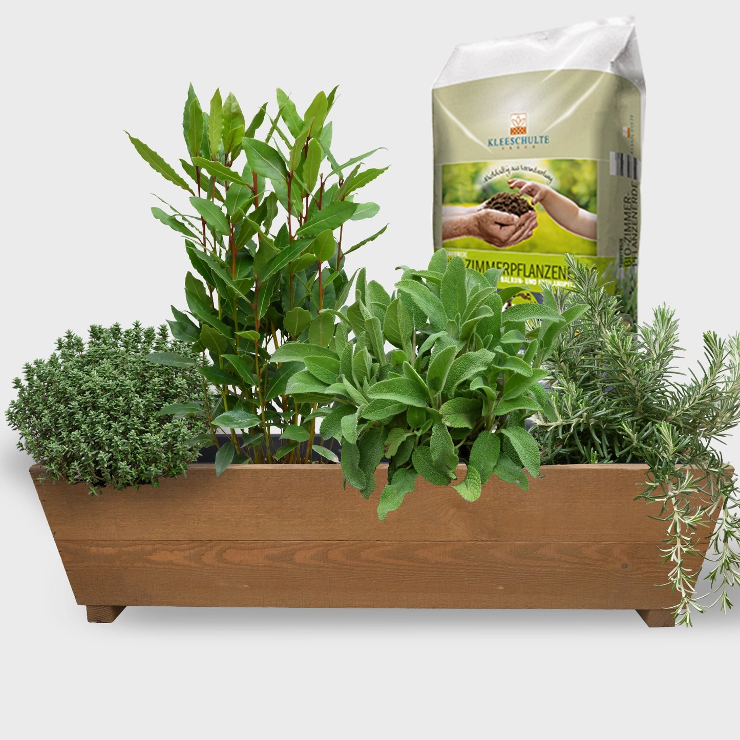 Holzbalkonkasten Set winterharte Küchenkräuter