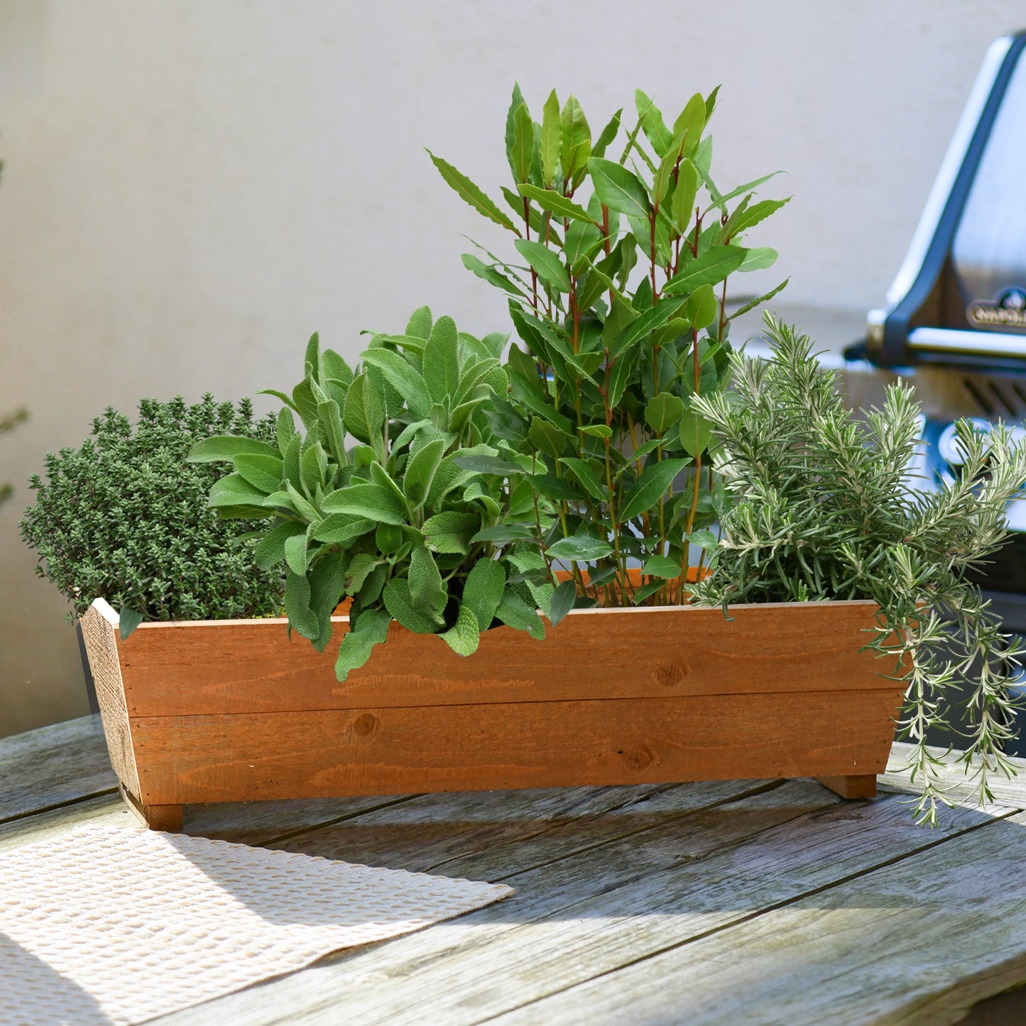 Holzbalkonkasten Set winterharte Küchenkräuter