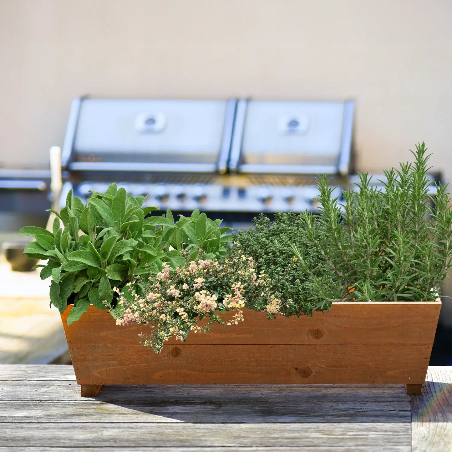 Holzbalkonkasten Set winterharte italienische Kräuter