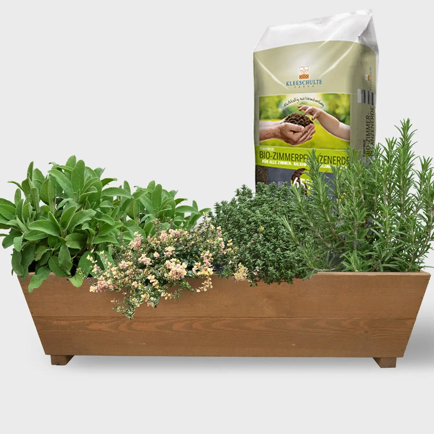 Holzbalkonkasten Set winterharte italienische Kräuter