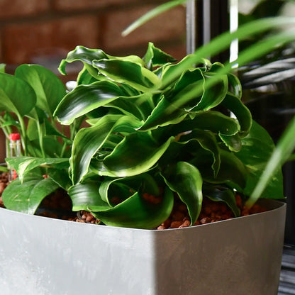 Hydro Green Tornado im Betonoptik Sideboard Gefäß im Büro