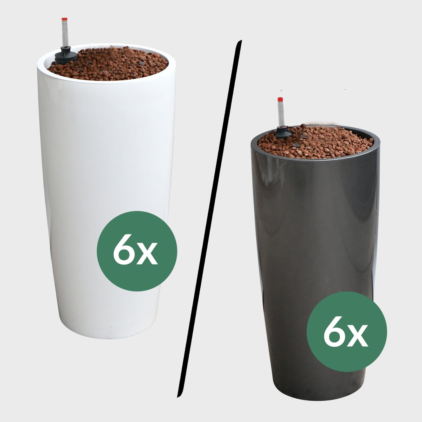 Palettenset 6XL Pflanzen Palmenfeeling - Hydrokultur Büropflanzen in hohen Vasen
