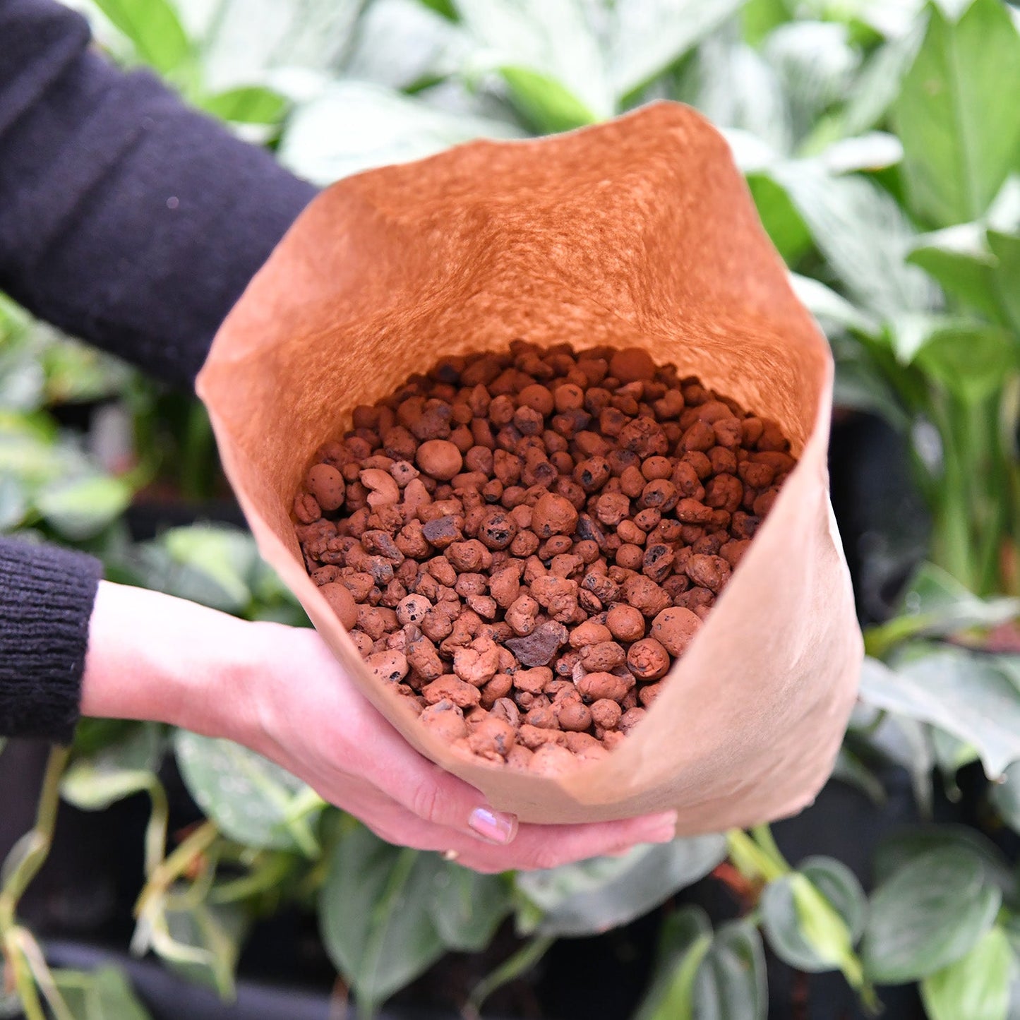 Blähtongranulat 50L