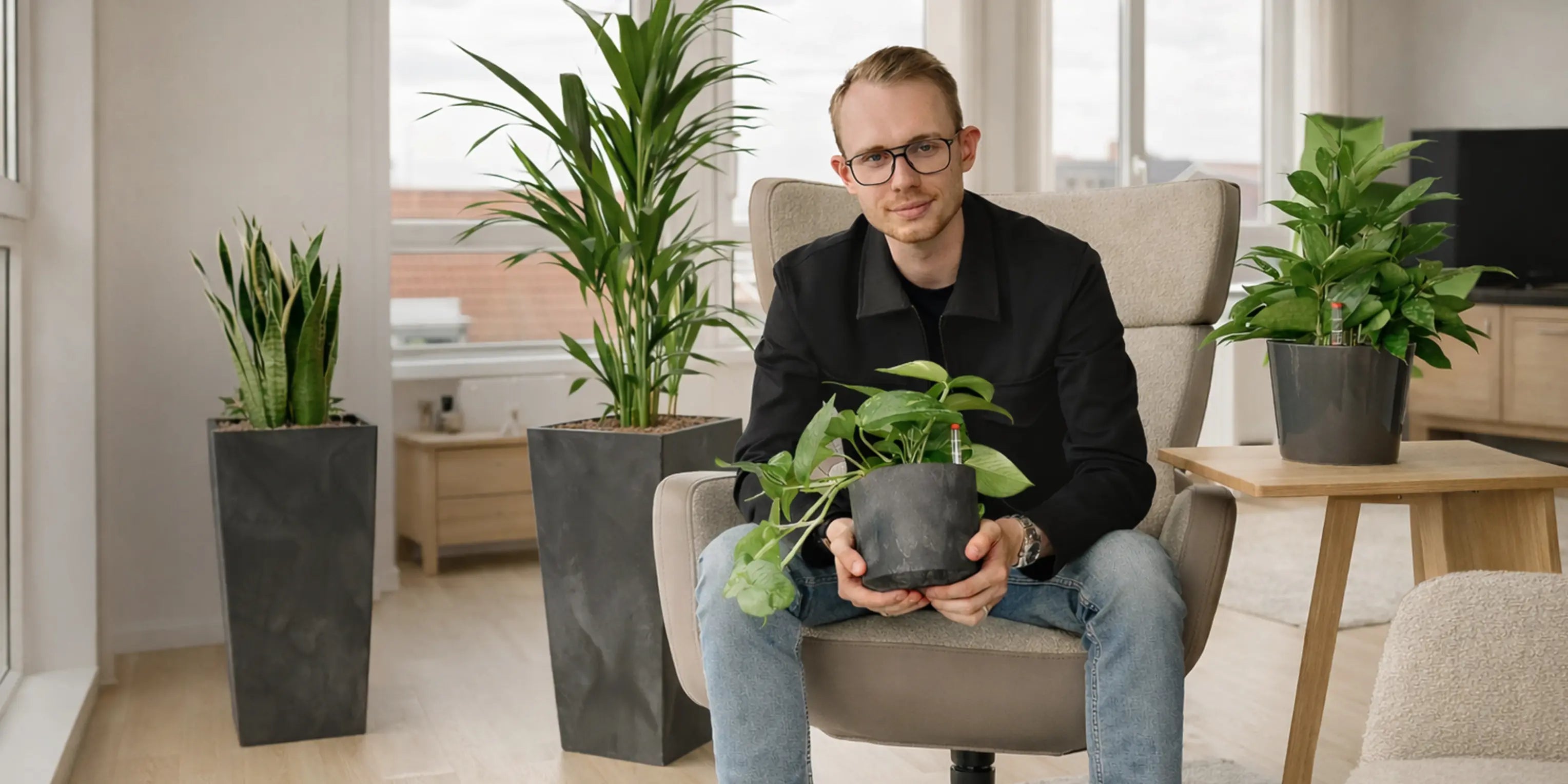 Bürobegrünung mit pflegeleichten Hydrokulturpflanzen in Betonoptik Gefäßen für das Büro