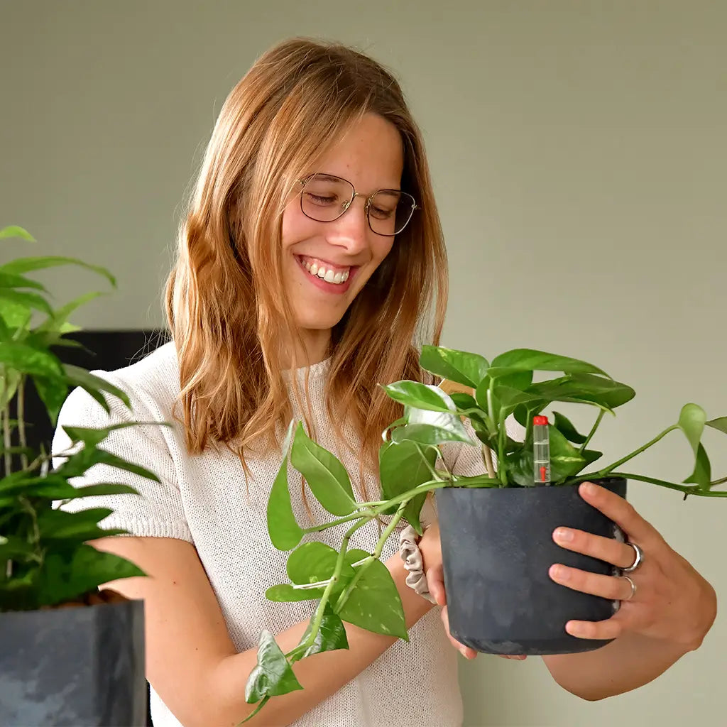 glücklich mit Pflanzen, Hydrokulturpflanzen, grünes Geschenk für Mitarbeiter