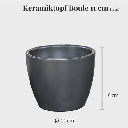 3er Set Keramiktopf Boule 11cm