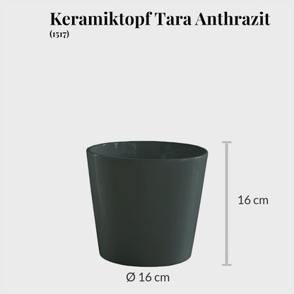 3er Übertopfset Hydro Tara