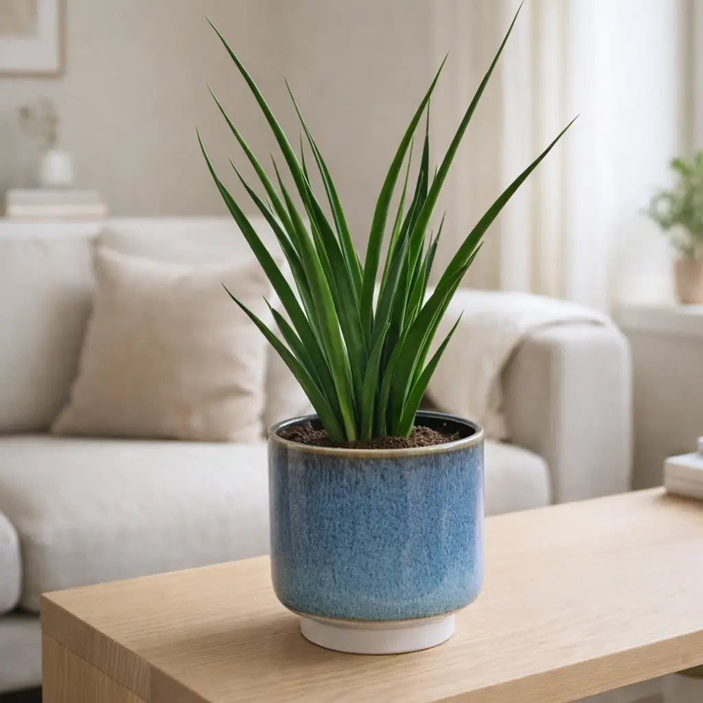 Keramiktopf Tupelo 17cm